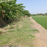 Sungai Cilamaya Bagian Kanan