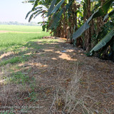 Sungai Cilamaya Bagian Kanan