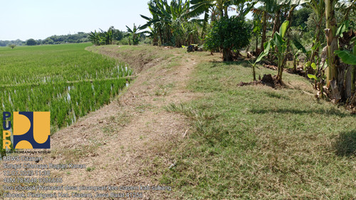 Sungai Cilamaya Bagian Kanan.jpg