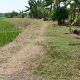 Sungai Cilamaya Bagian Kanan
