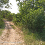Sungai Cilamaya