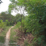 Sungai Cilamaya