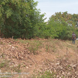 Sungai Cilamaya