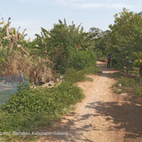 Sungai Cilamaya