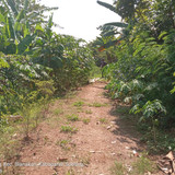 Sungai Cilamaya