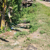 Sungai Cilamaya