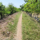 Sungai Cilamaya