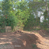 Sungai Cilamaya