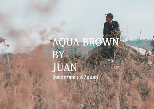 Aqua Brown.jpg