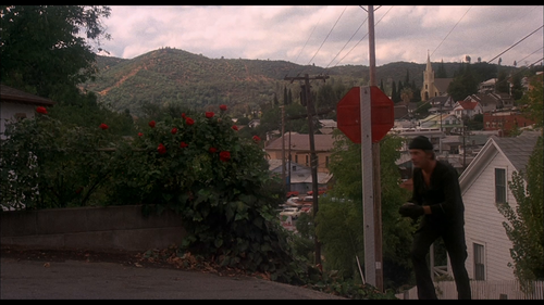 Dirty.Mary.Crazy.Larry.1974.BluRay.Remux.1080p.AVC.DTS HD.MA.2.0 HiFi screenshot03.png