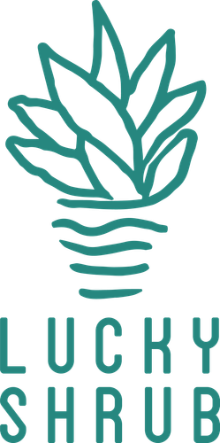 logo green.png