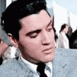 IMG 5355.gif
