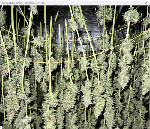 Без имени.jpg