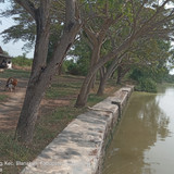 Sungai Cilamaya
