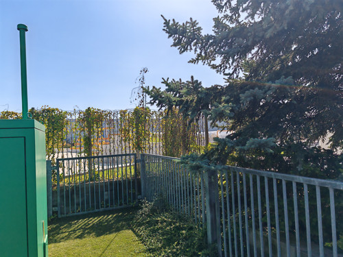 IMG 20230912 120425.jpg