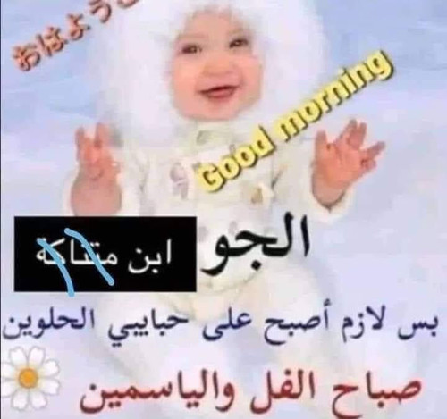 bb6887282823607e8c0f99b3bb80647b.jpg