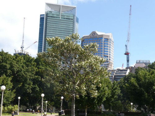 P1001915.jpg