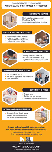 What Common Problems Are Faced By Pittsburgh Home Sellers (1).jpg