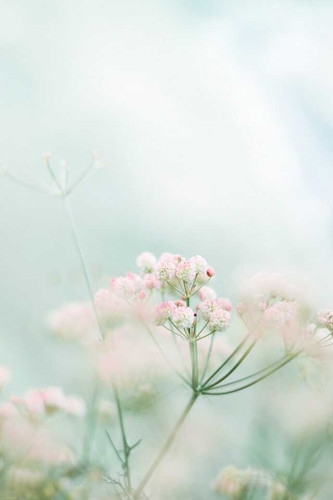 foad roshan ttdnu heh3y unsplash optimized.jpg