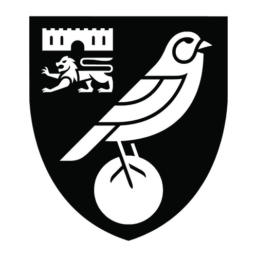 Norwich City FC 4x4 001 Tattoo.jpg