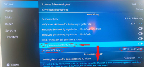 Kodi DV.jpg