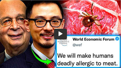 A SYNTH MEAT WEF.png