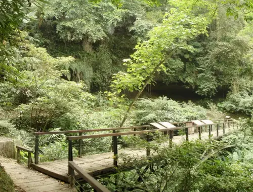 00020 藤坪大石壁