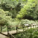 00020 藤坪大石壁