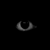 eyes animated gif 12.gif