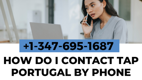 How do I contact TAP Portugal by phone.png