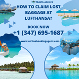 How To Claim Lost Baggage At Lufthansa.png