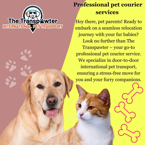 Professional pet courier services image.jpg