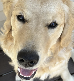 Screen Shot 2023 09 11 at 6.12.29 PM.png