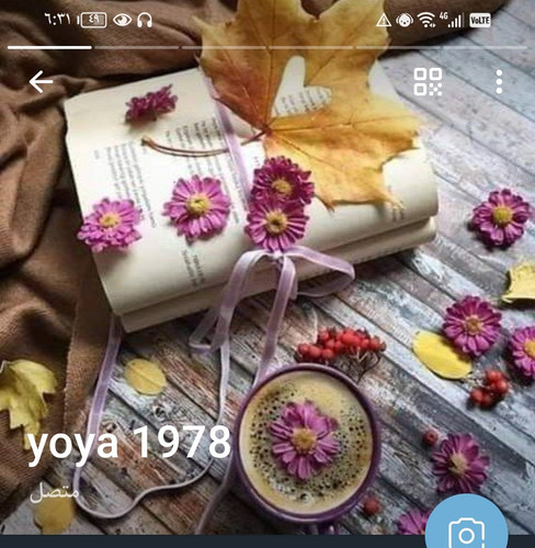 Screenshot 20230905 183125 org.telegram.messenger edit 2848700132173647.jpg