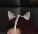 Firestorm Releasex64 FFio0OiD6G.png