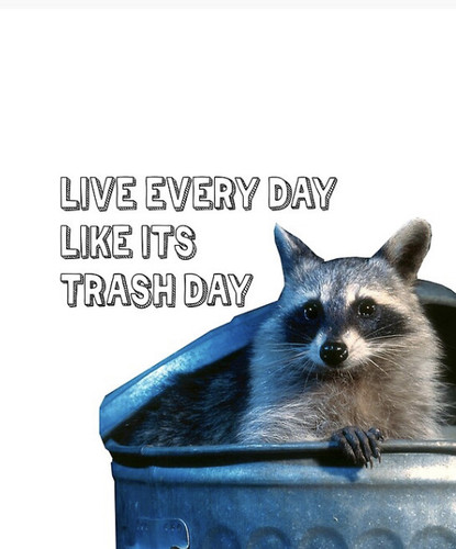 0811808E 8802 4BD0 9339 1C06F1A48755.jpg