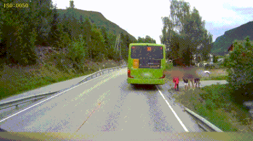 zq237Jf.gif