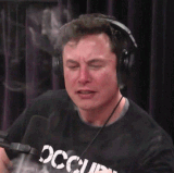 elon musk.gif