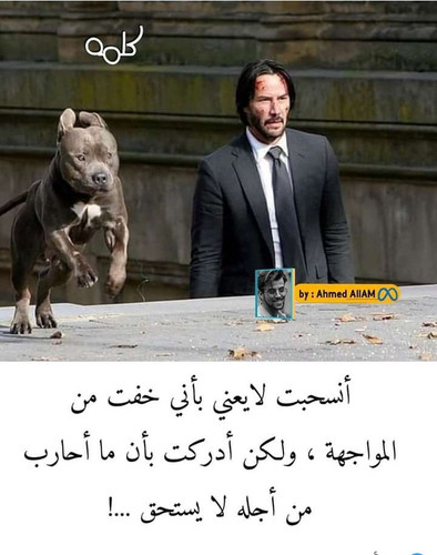 IMG ٢٠٢٣٠٩٠٨ ٢٣٢٨٠٧.jpg