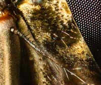 b3.jpg