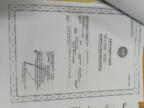 scaled 0f2a5f07 ec6a 44ec a960 3001a214df5d7695279417904949443.jpg