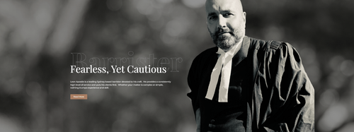 criminal lawyer.png