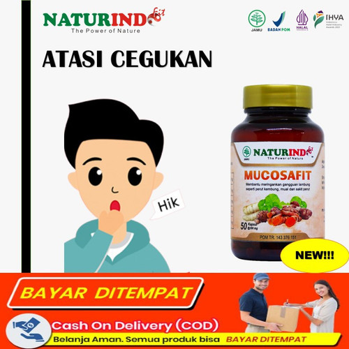 gambar11.jpg
