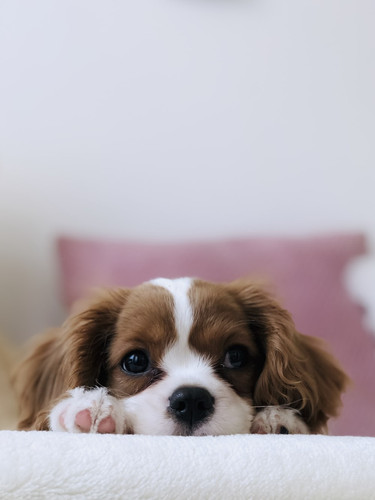 cutie.jpg
