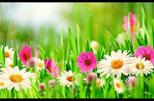 Screenshot 20230109 232049 Facebook.jpg