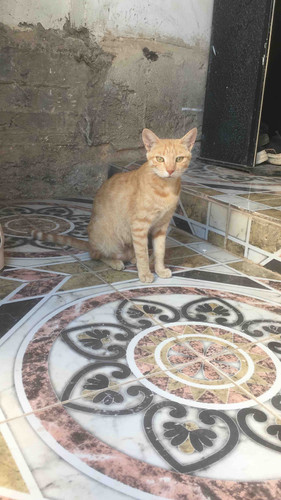 8C16CF5E 9483 4762 866E 200C740094B5.jpg