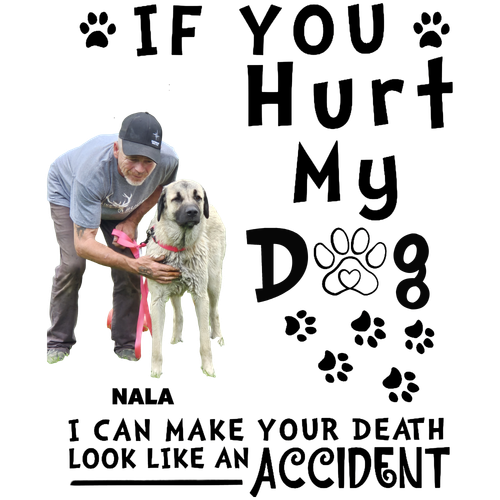 bbc7117c 9c02 4cf7 940d a6226d5a5360 pf2.png