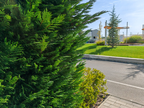 IMG 20230912 152320.jpg