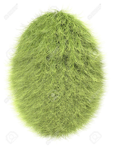 12921547 isolierten pelzige ei in hellgrüner farbe.jpg
