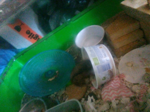 00006IMG 00006 BURST20221009162026.jpg